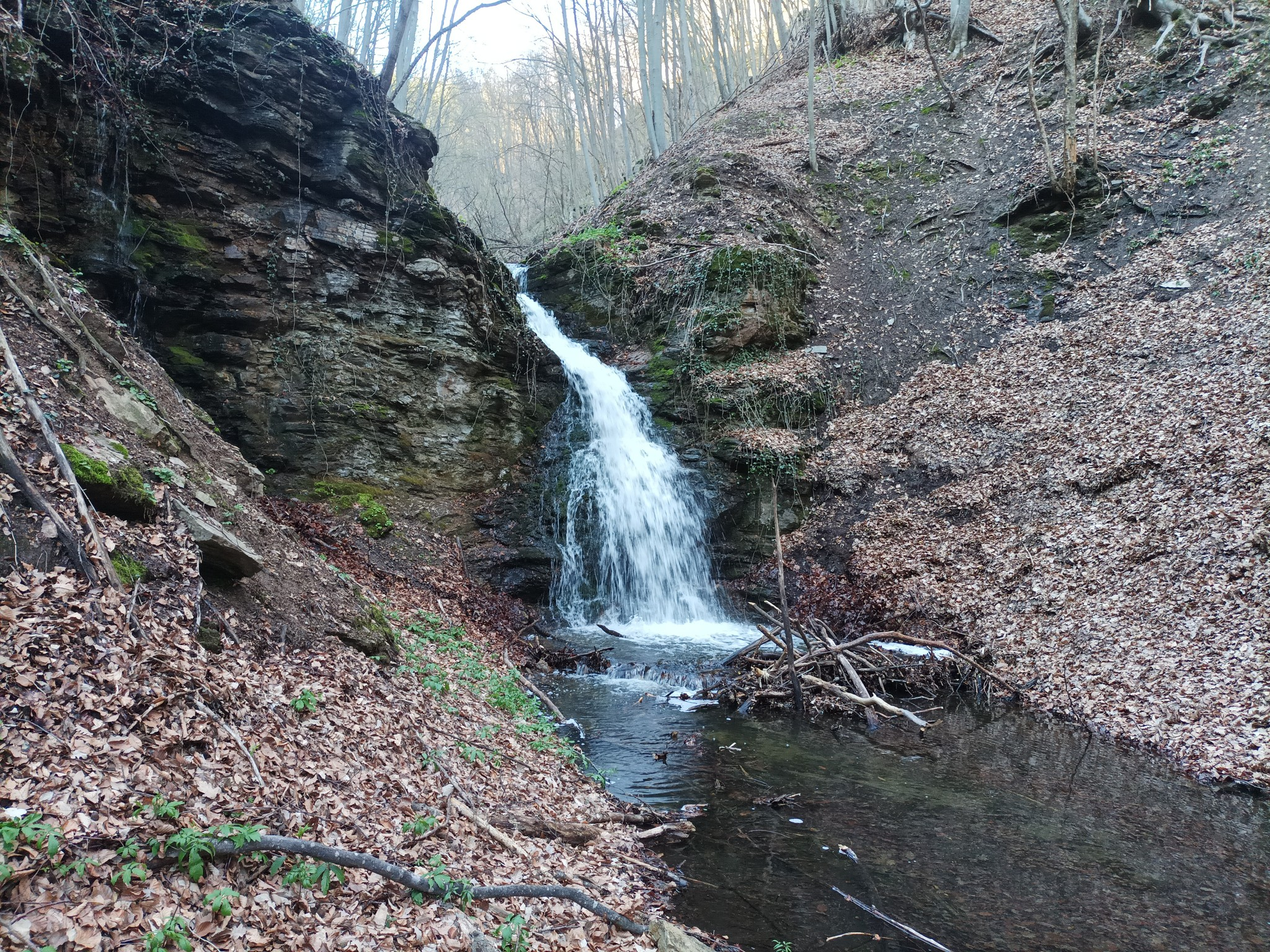 Горен водопад вада Свинарника