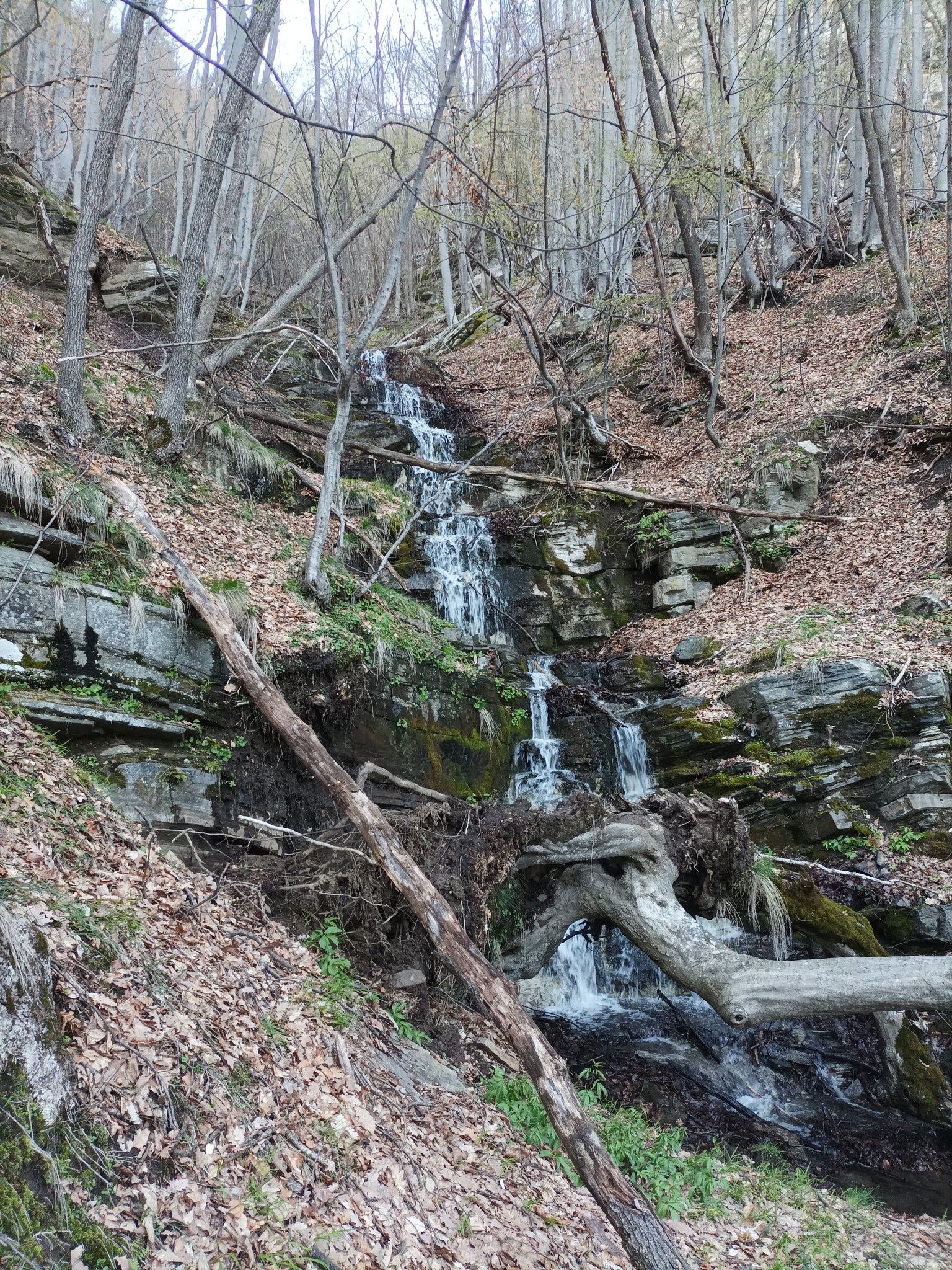 Горна каскада вада Свинарника