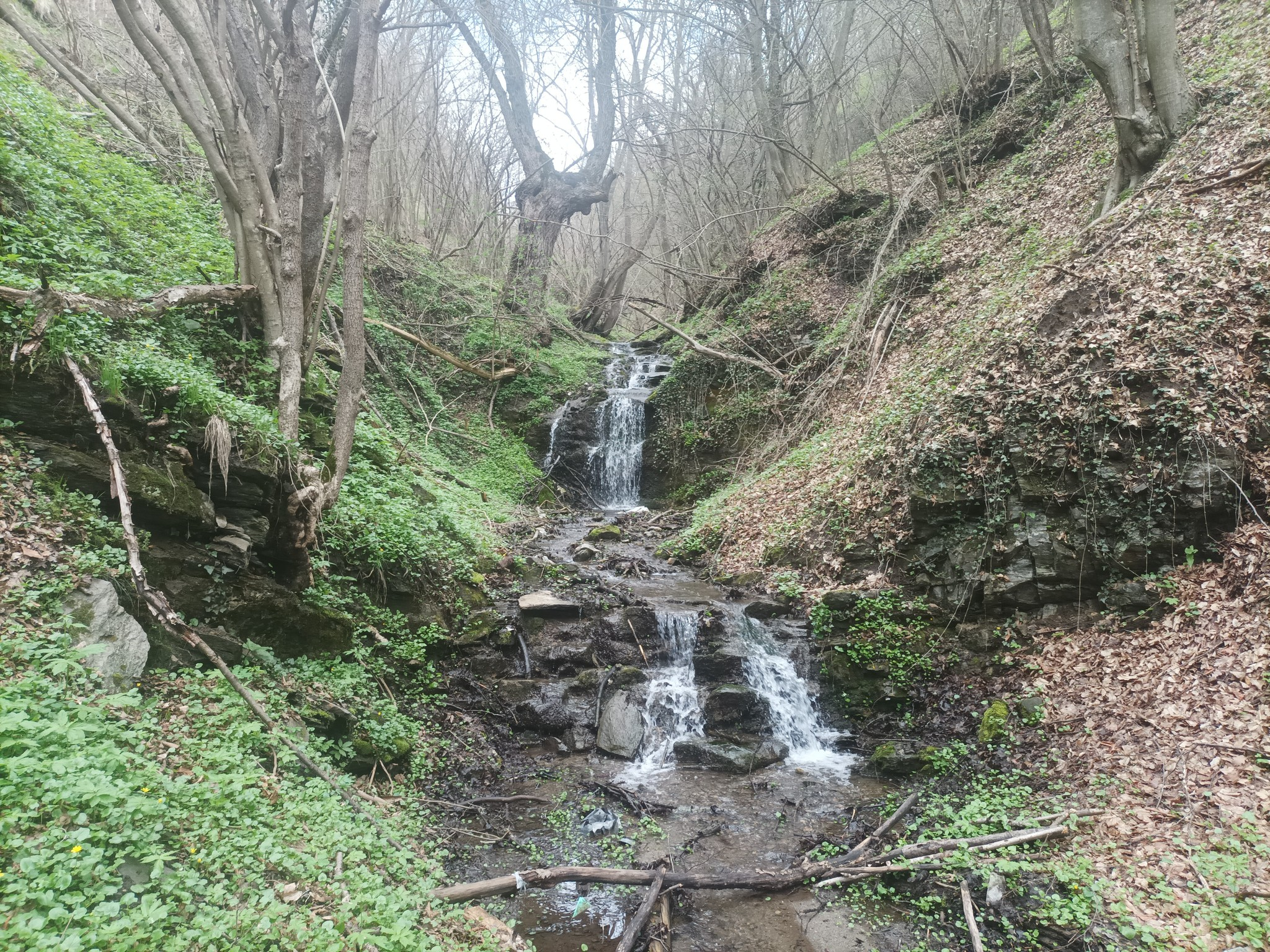 Лясковски водопад 11