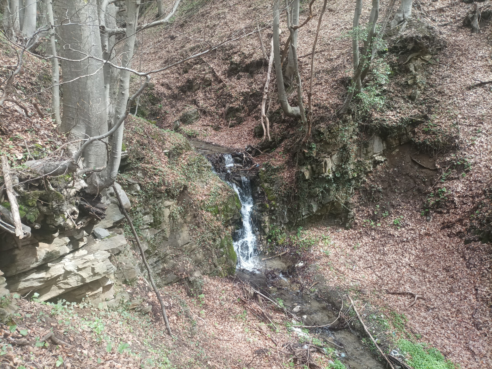 Водопад Лясковска вада