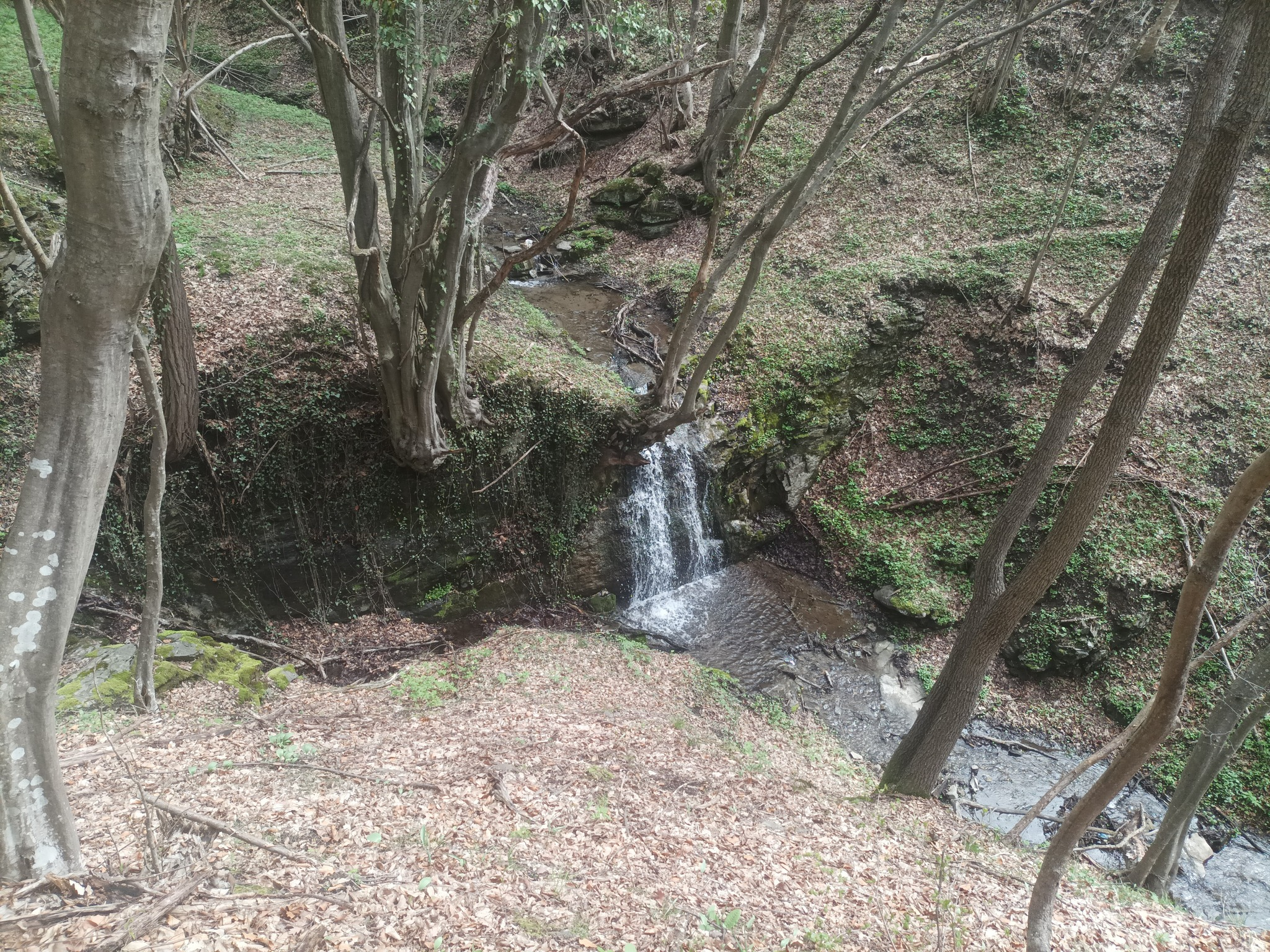 Лясковски водопад 12