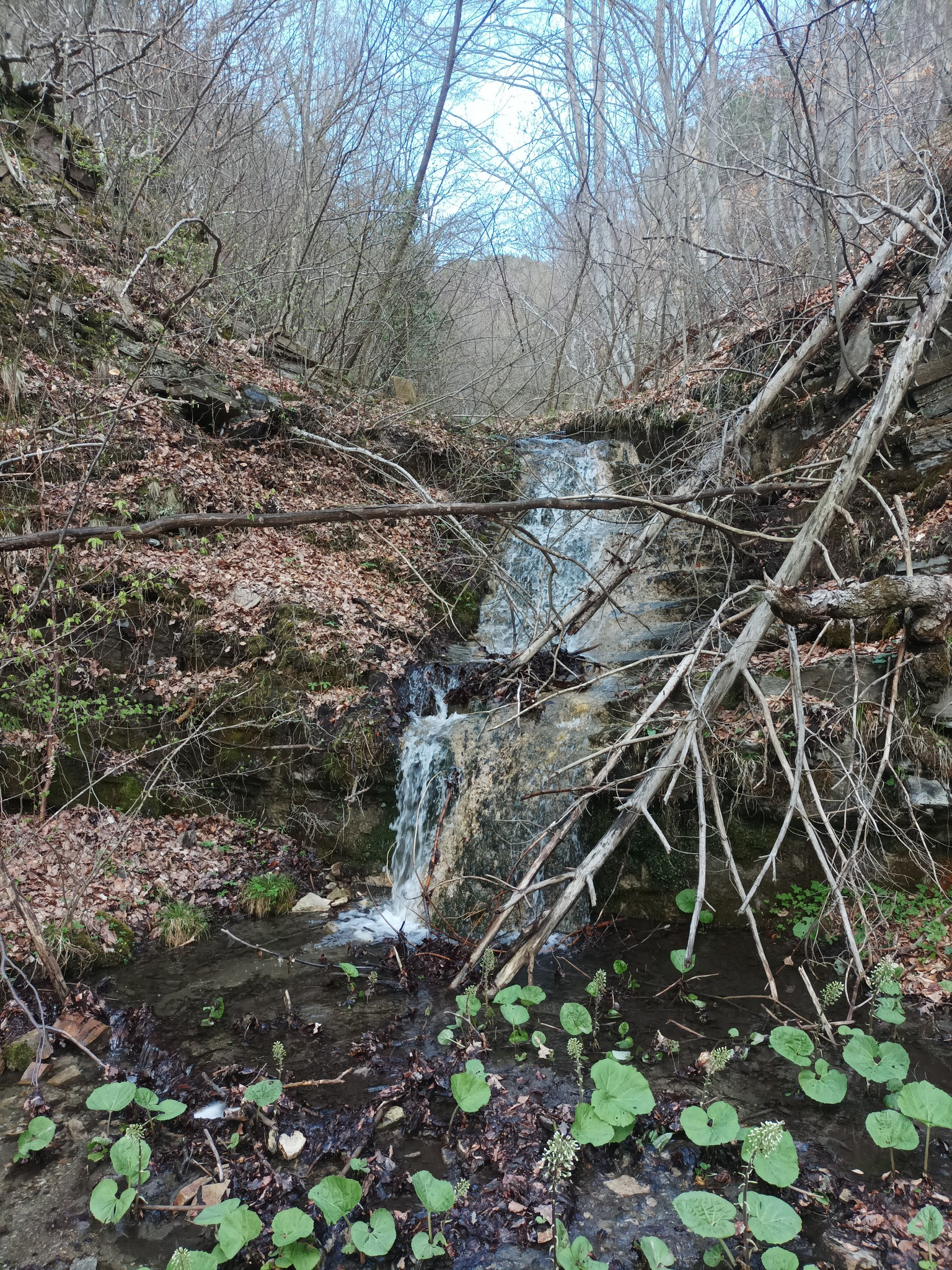 Водопад вада Бухловица 1