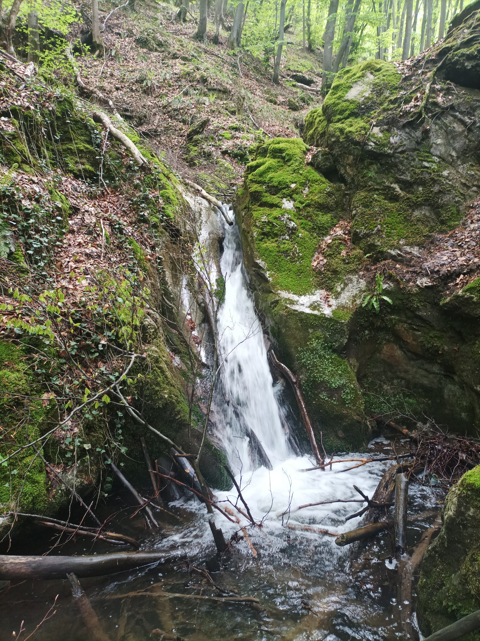 Водопад Павлица