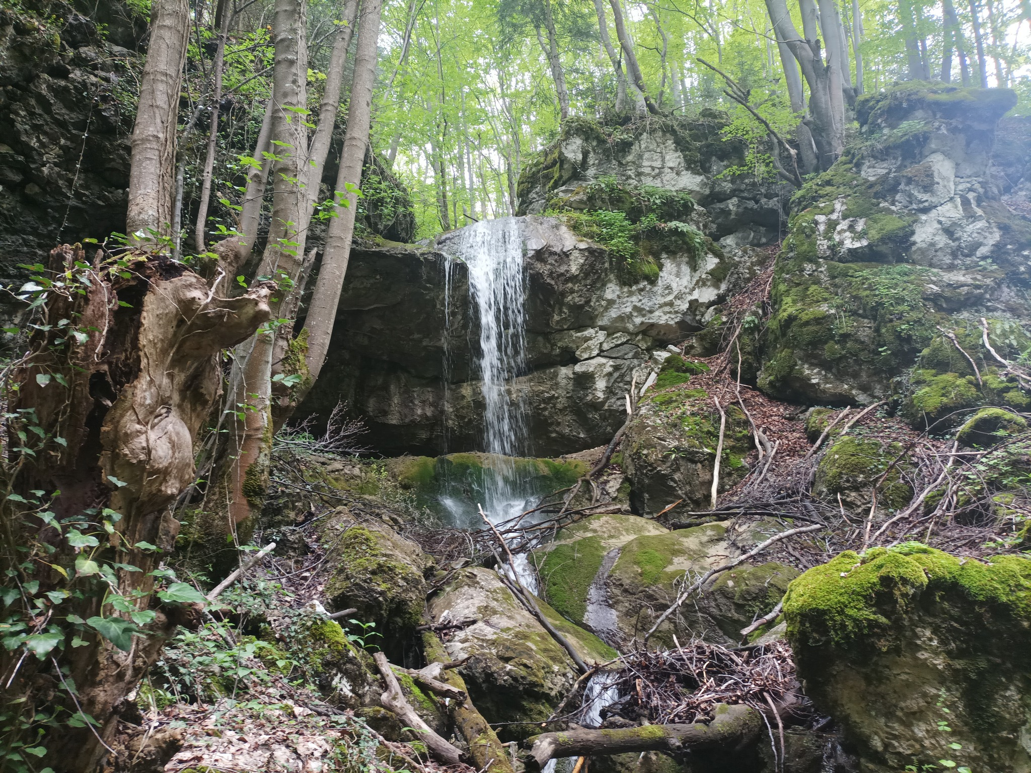 Долен водопад Мандрите