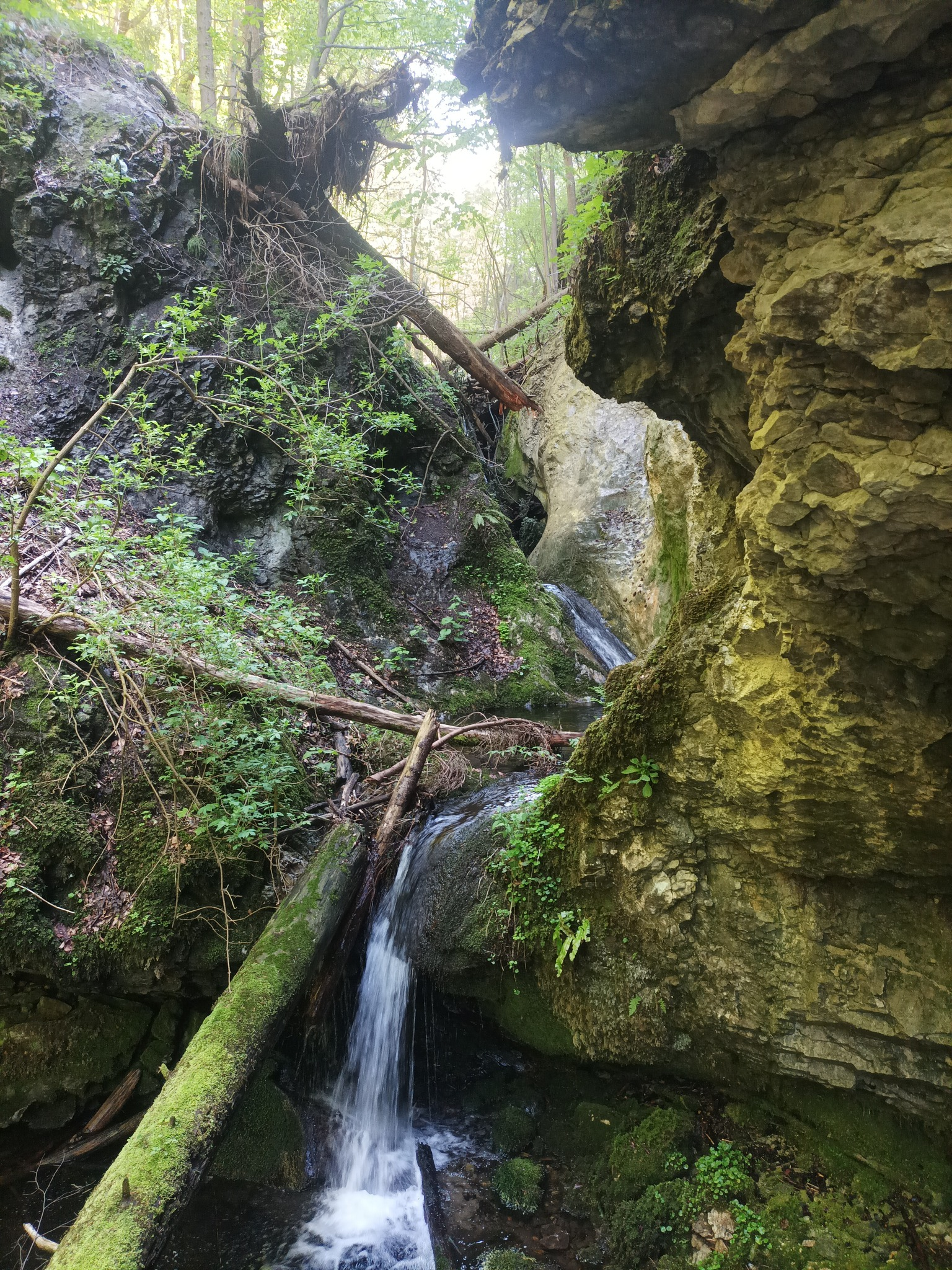 Скрития водопад(Павлица)