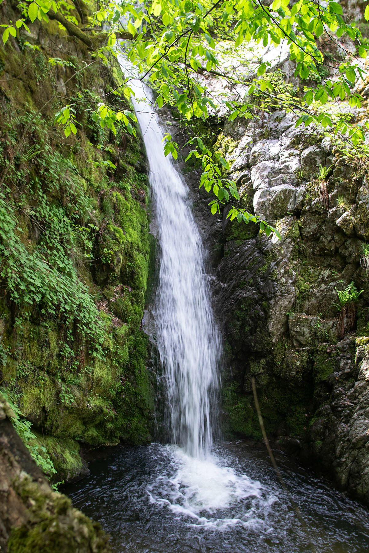 Водопад  Саръкая дереси 5