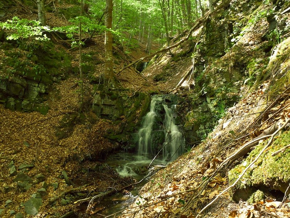 Водопад 1 басейн Раворска река