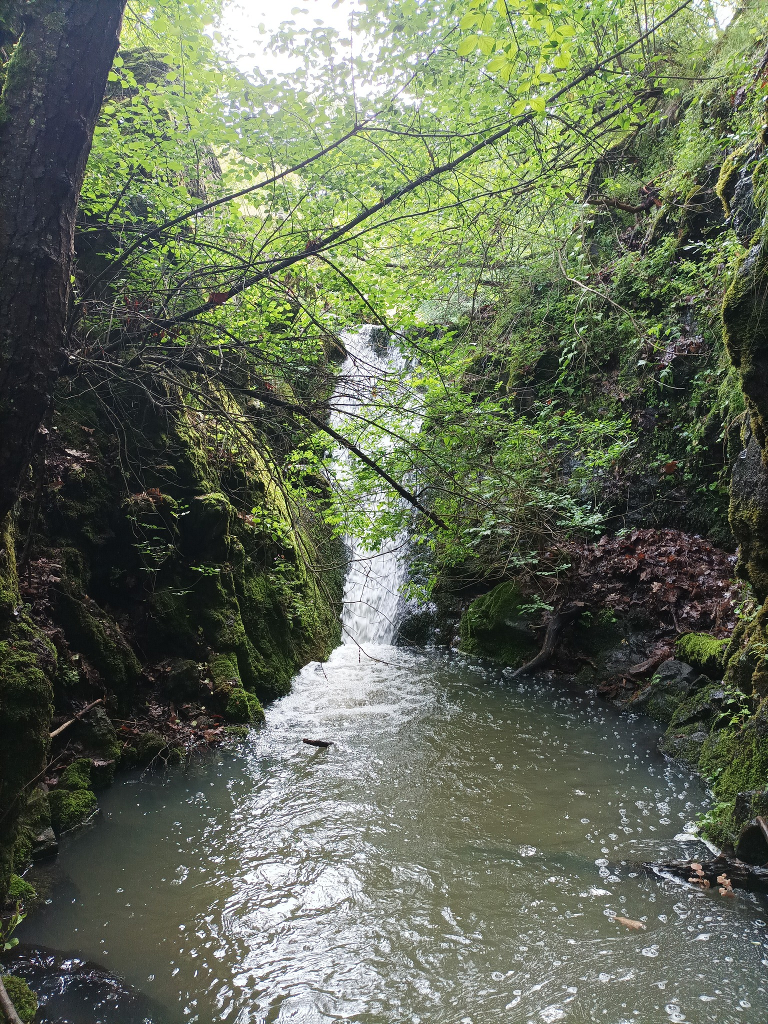 Водопад Юджекдере