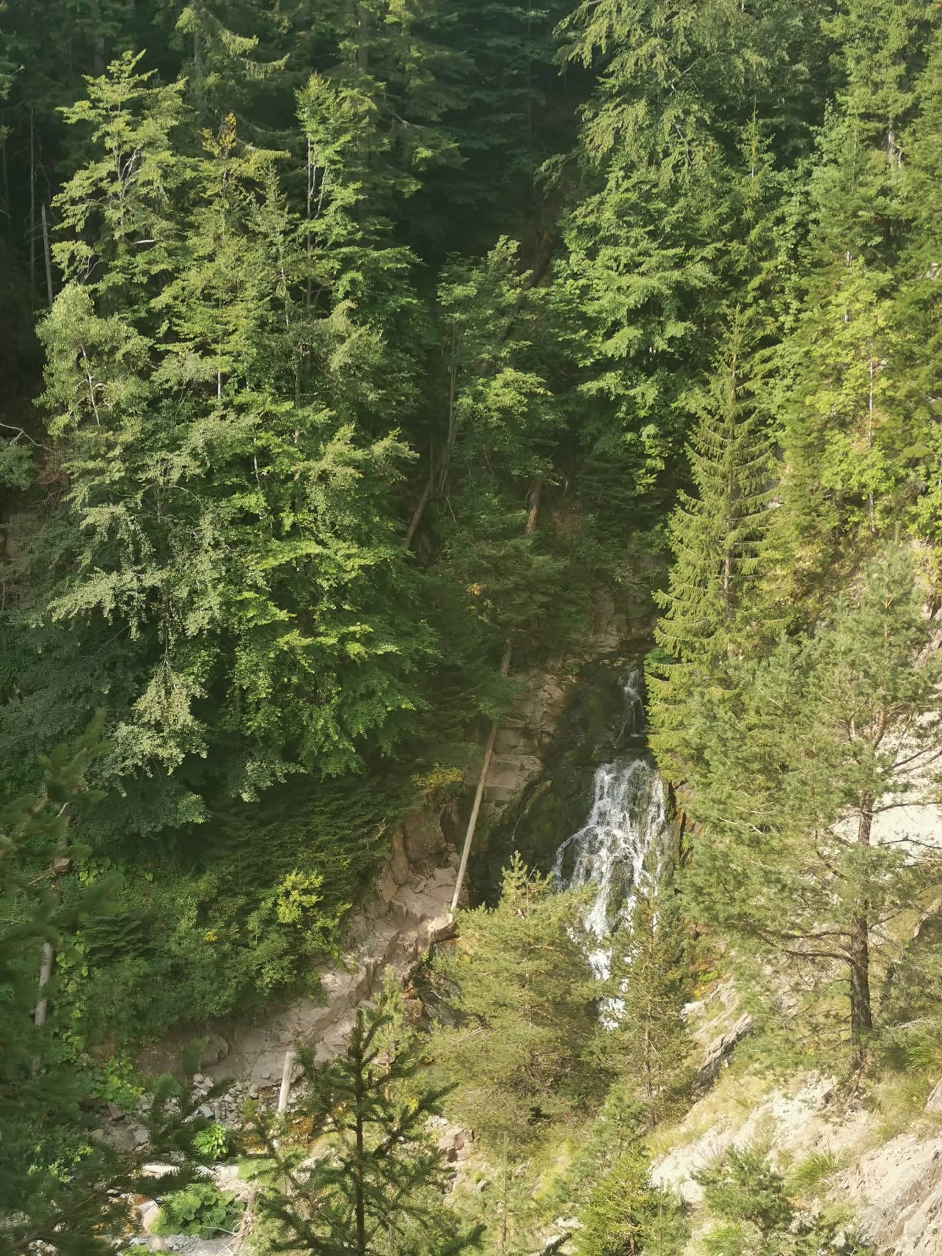 Долен водопад Черна река