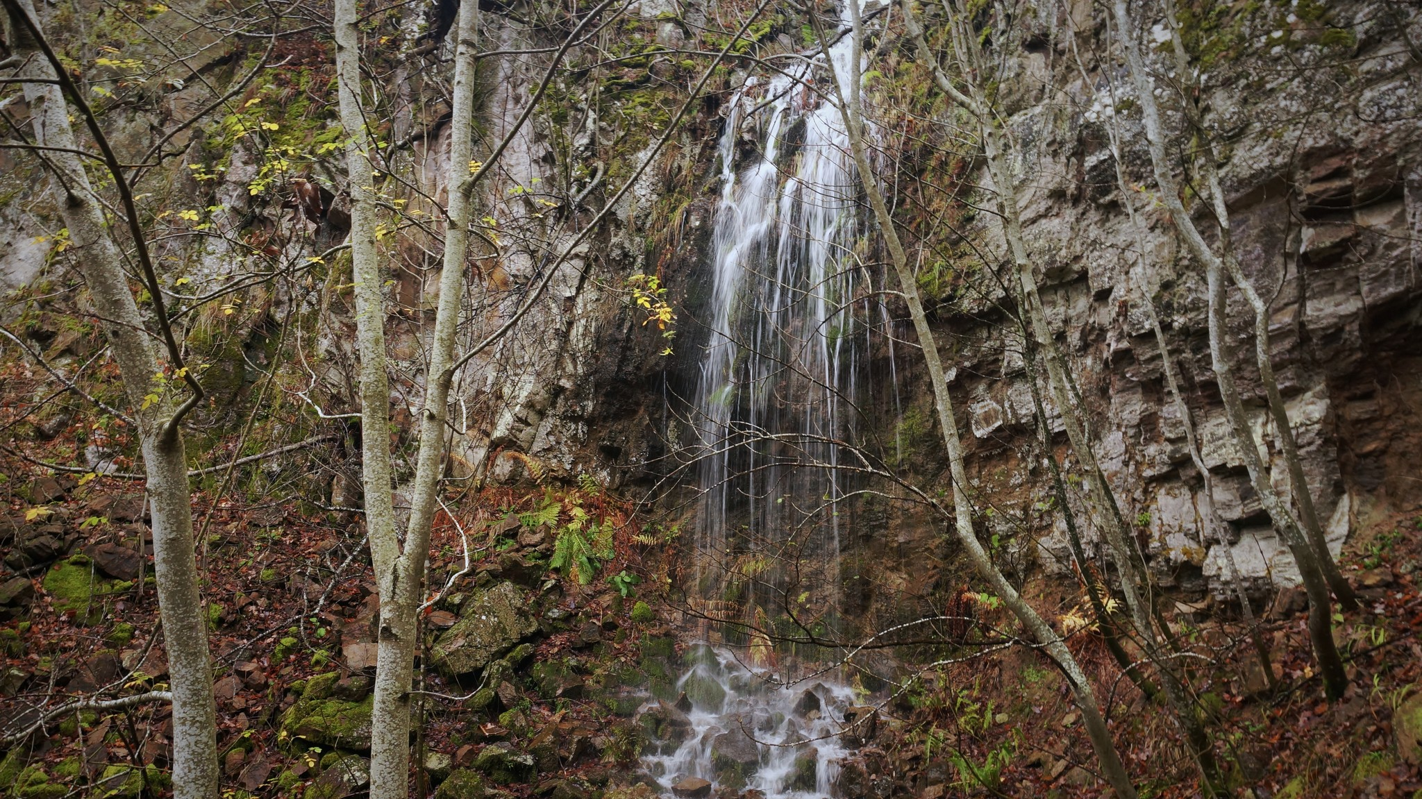 Горен водопад десен приток Карабедик дере