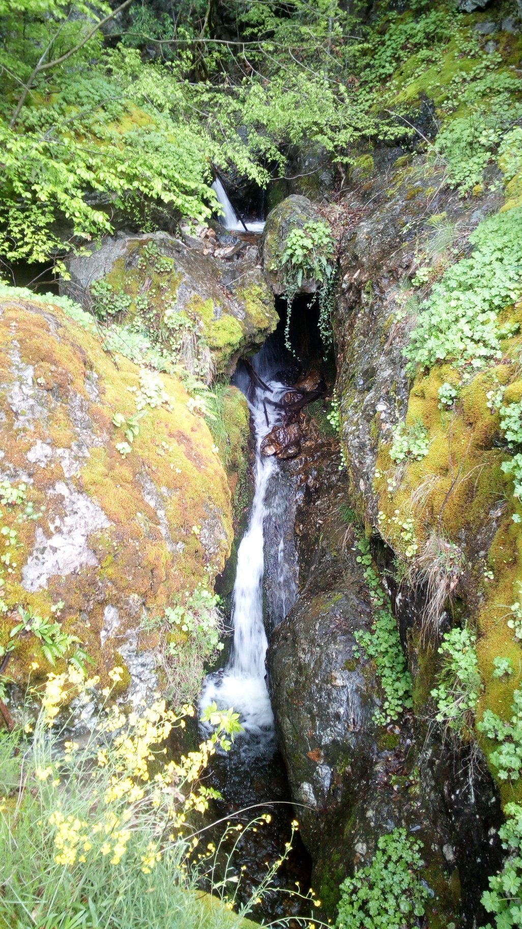 Водопад Бохемия 3