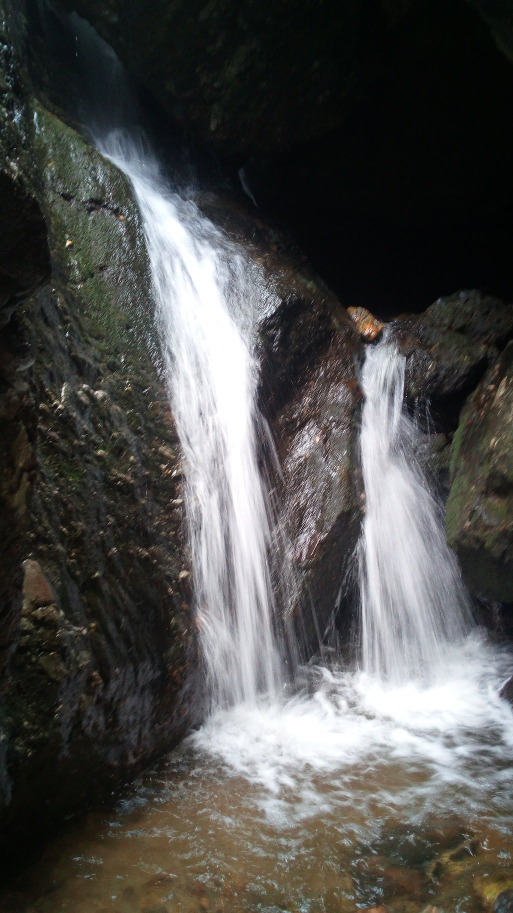 Скрития Бохемия