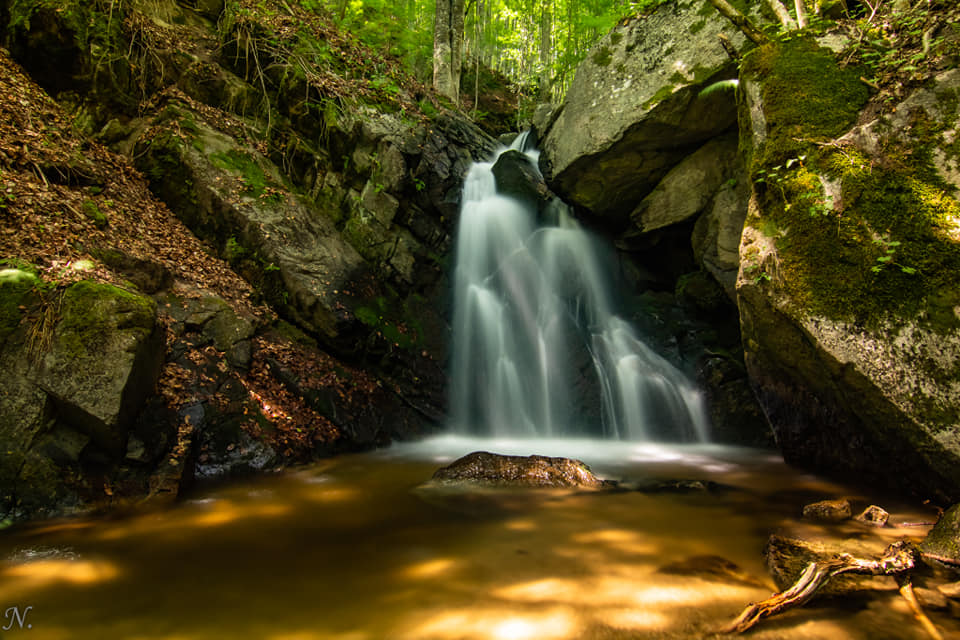 Долен водопад Честненско усое
