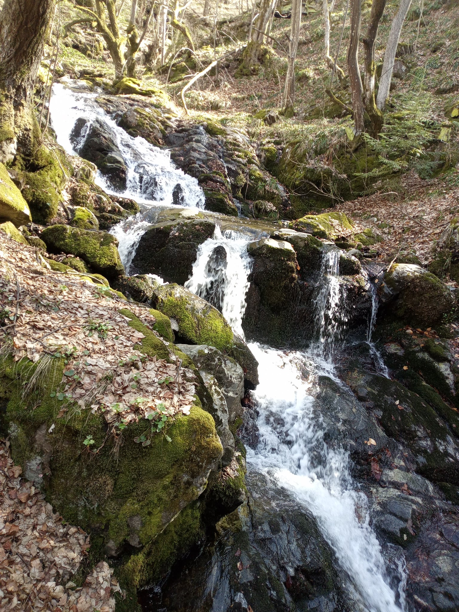 Долен водопад приток Ошляк